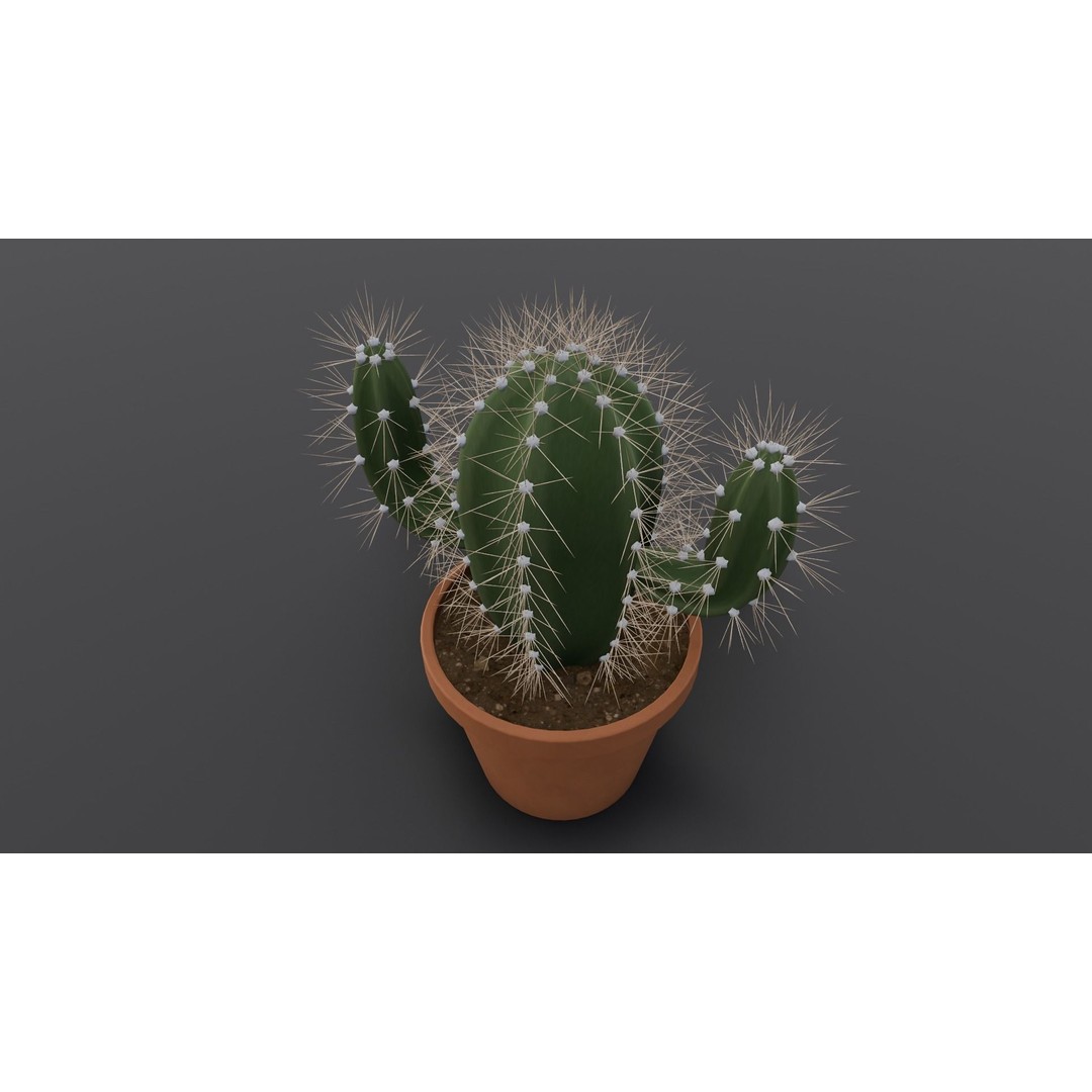 Cactus 3D Model – Low Poly PBR Asset for Games and Animation