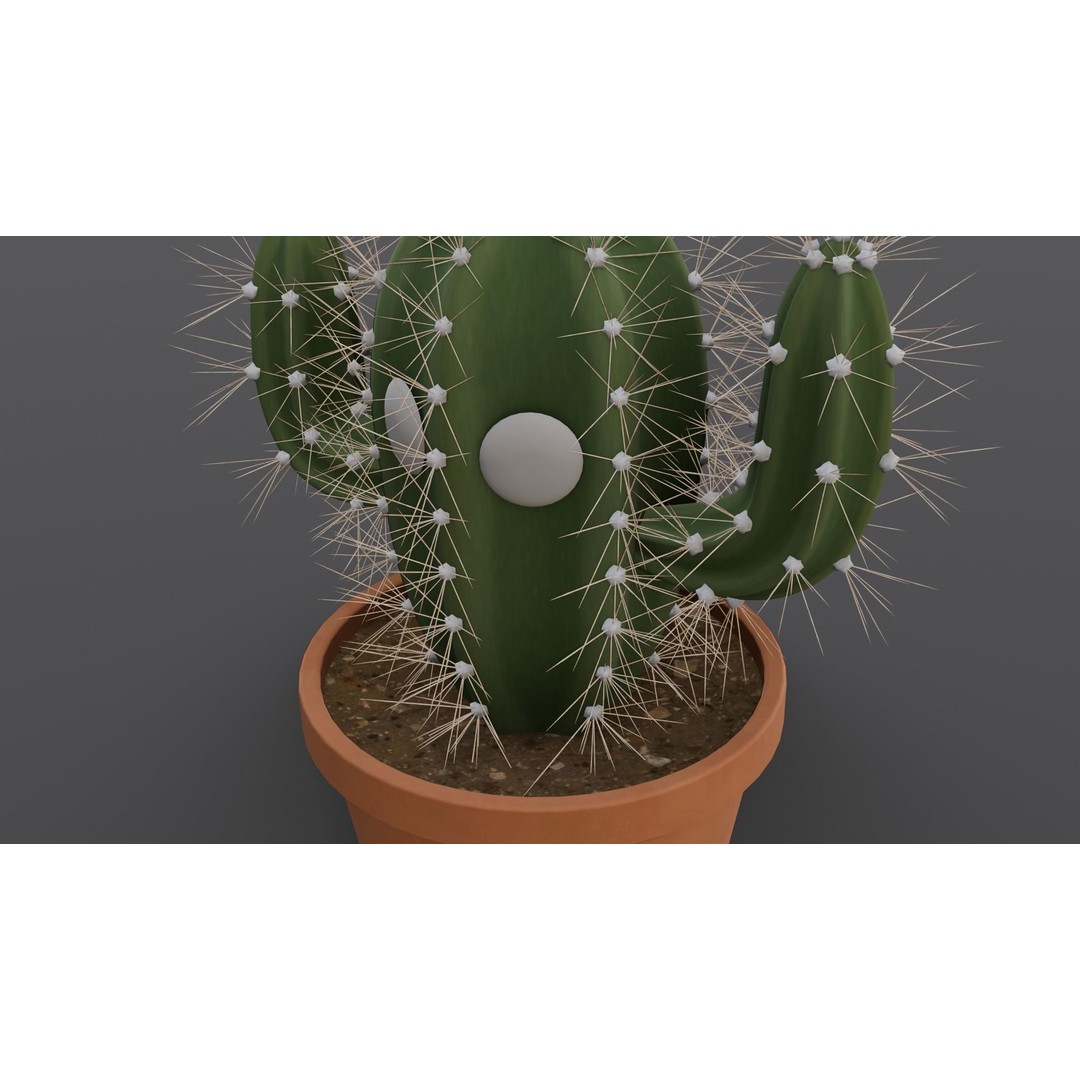 Cactus 3D Model – Low Poly PBR Asset for Games and Animation - View 10