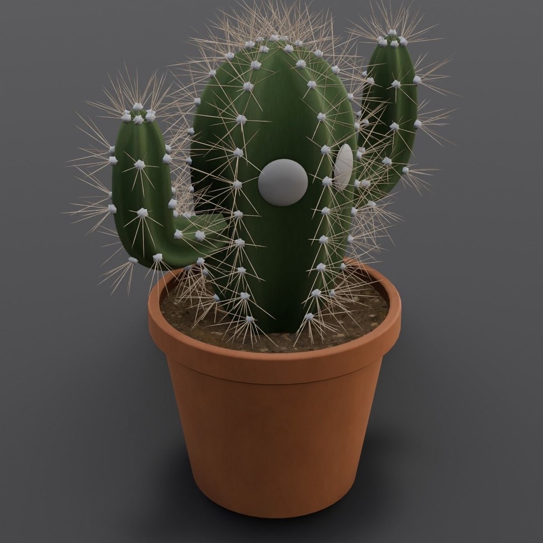 Cactus 3D Model – Low Poly PBR Asset for Games and Animation - View 11