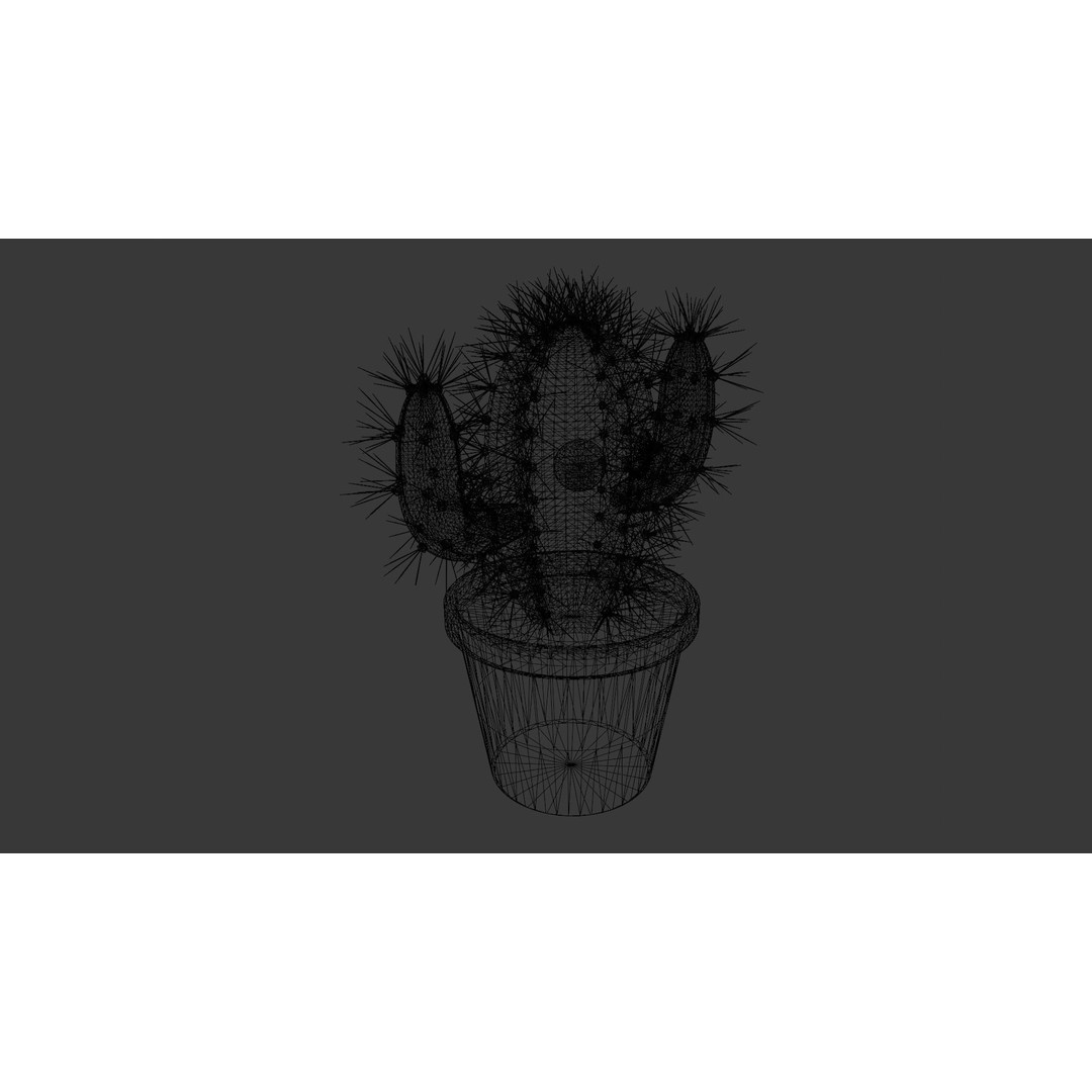Cactus 3D Model – Low Poly PBR Asset for Games and Animation - View 12
