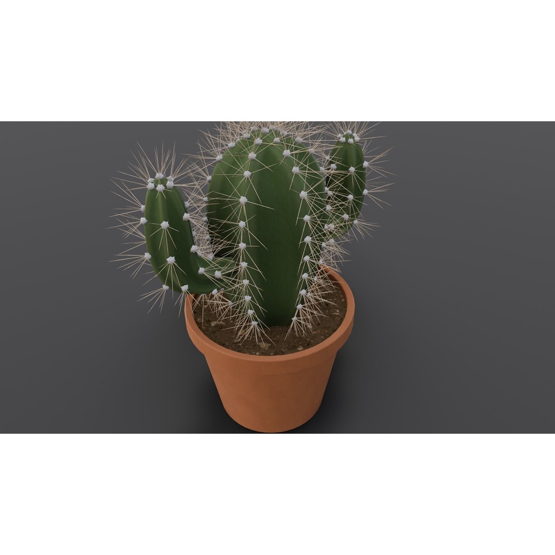 Cactus 3D Model – Low Poly PBR Asset for Games and Animation - View 13