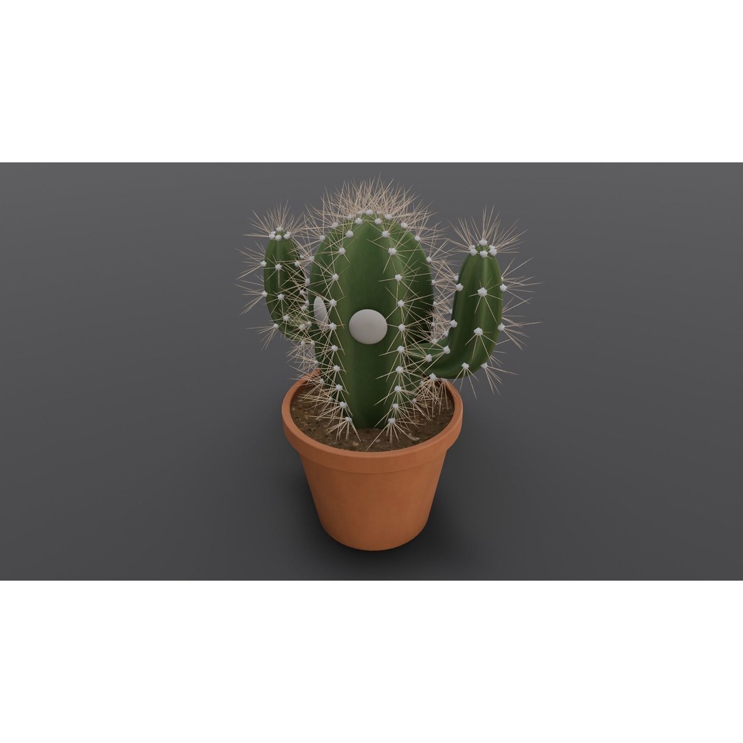 Cactus 3D Model – Low Poly PBR Asset for Games and Animation - View 14
