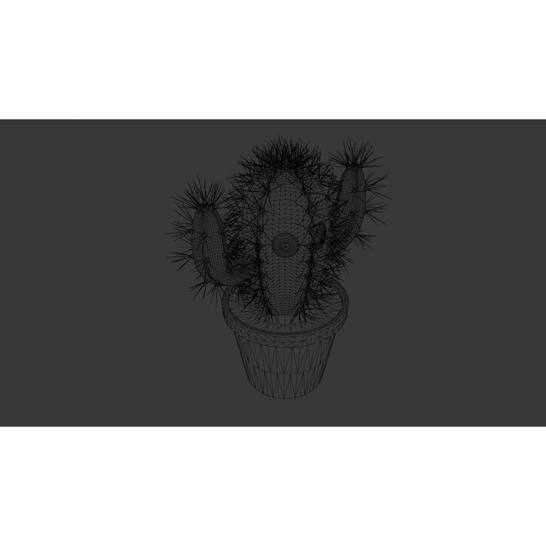Cactus 3D Model – Low Poly PBR Asset for Games and Animation - View 18