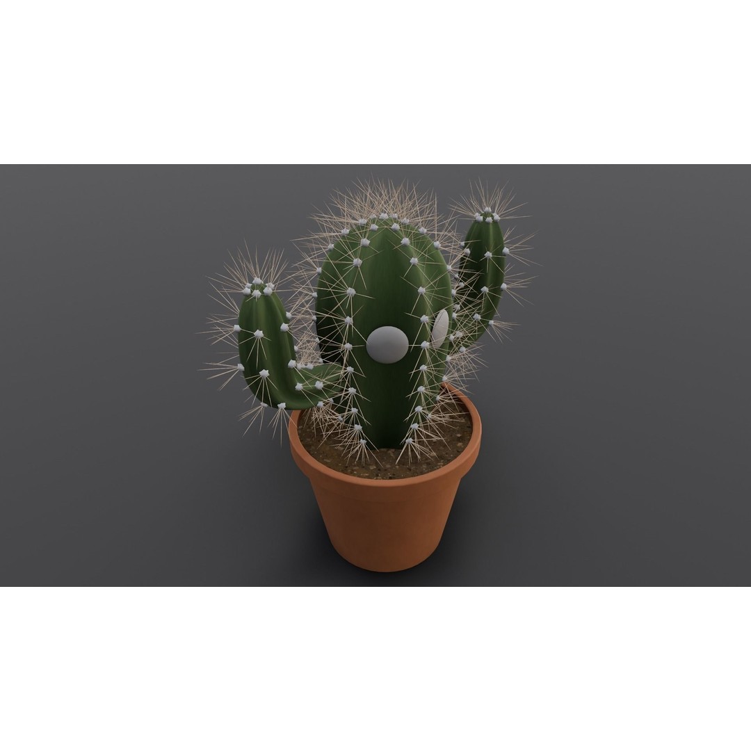 Cactus 3D Model – Low Poly PBR Asset for Games and Animation - View 19