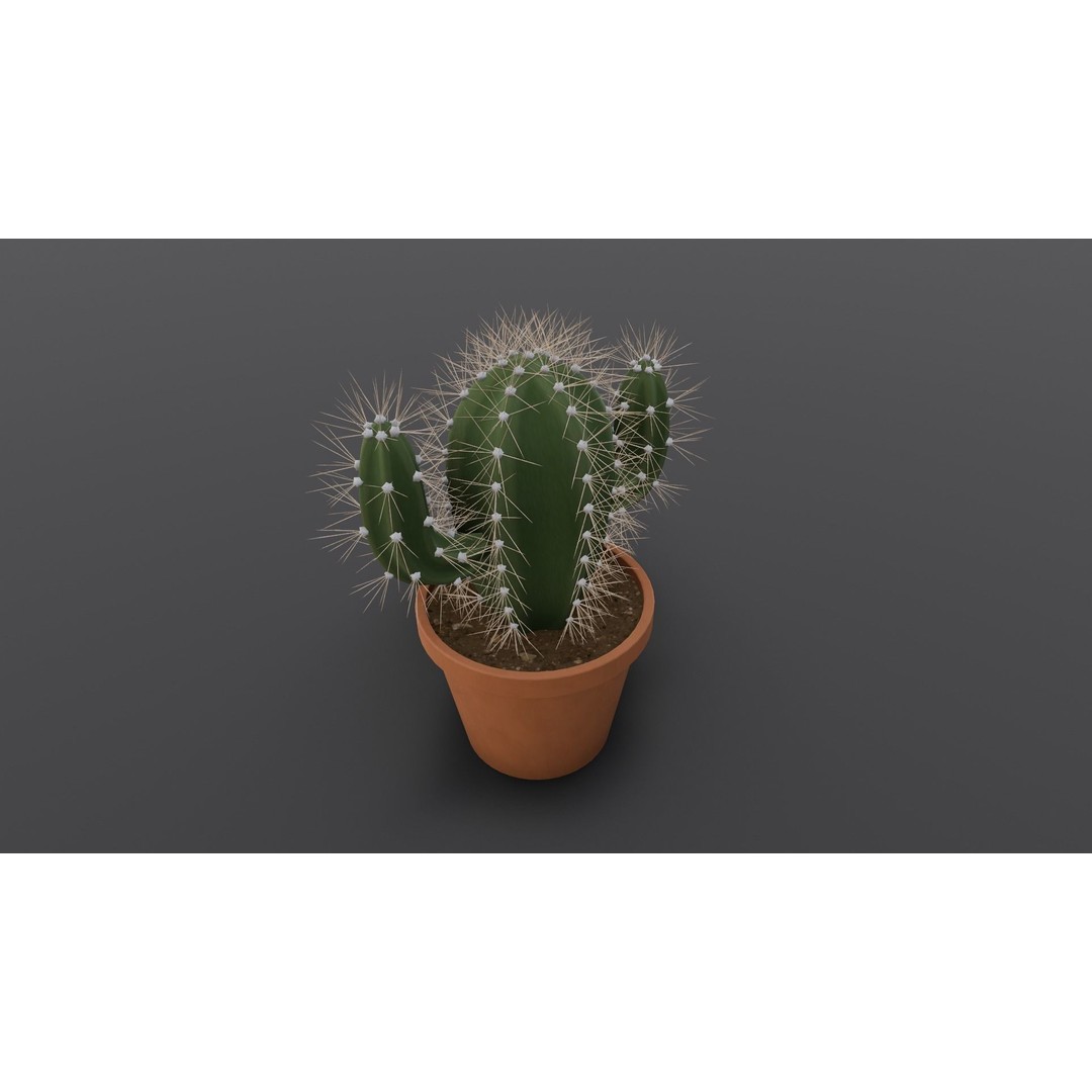 Cactus 3D Model – Low Poly PBR Asset for Games and Animation - View 20