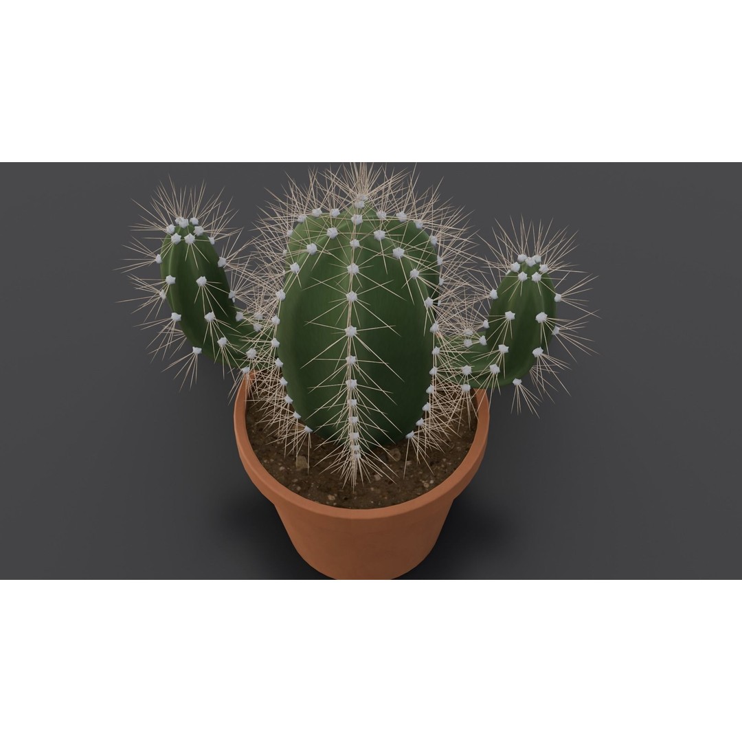 Cactus 3D Model – Low Poly PBR Asset for Games and Animation - View 4