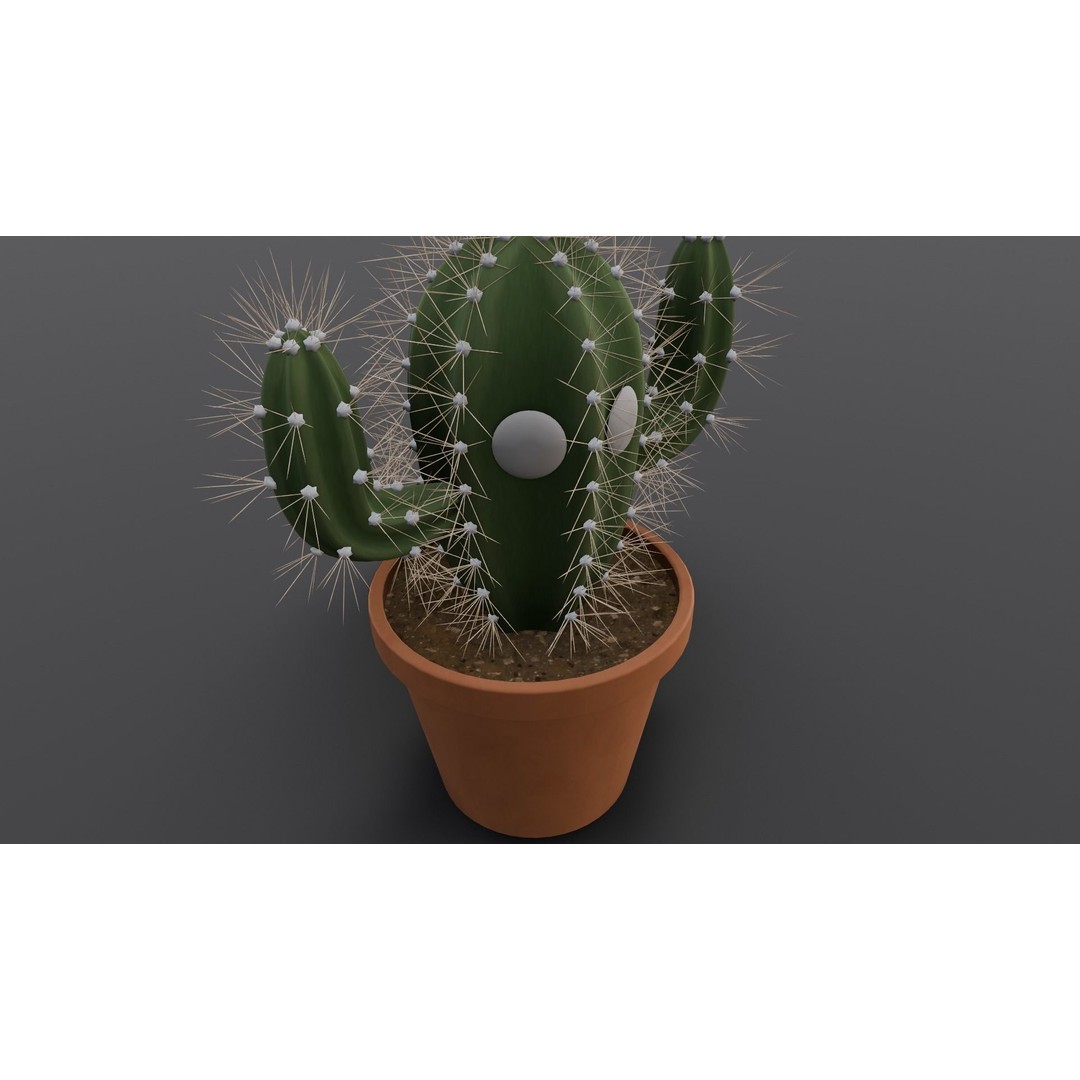 Cactus 3D Model – Low Poly PBR Asset for Games and Animation - View 5