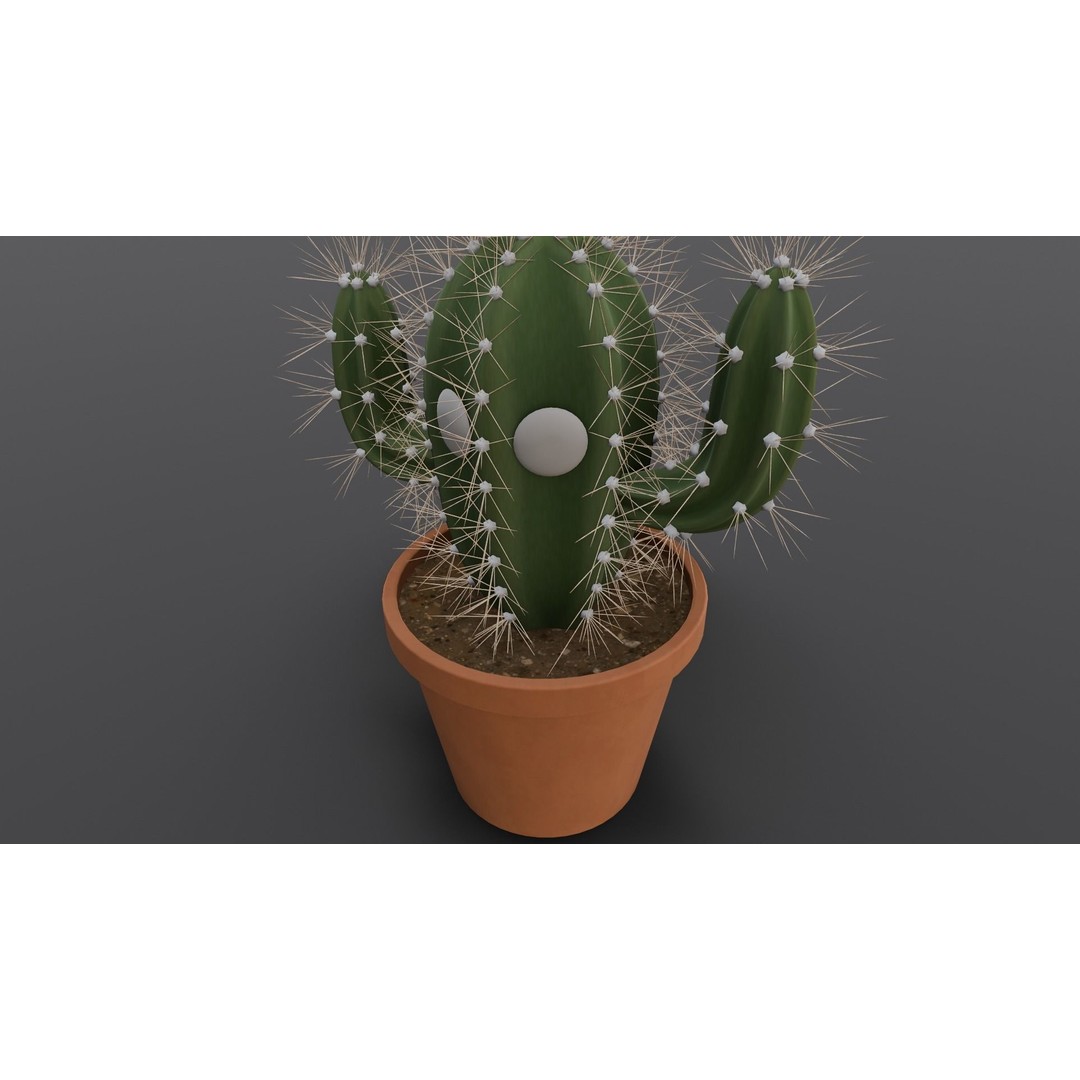 Cactus 3D Model – Low Poly PBR Asset for Games and Animation - View 6