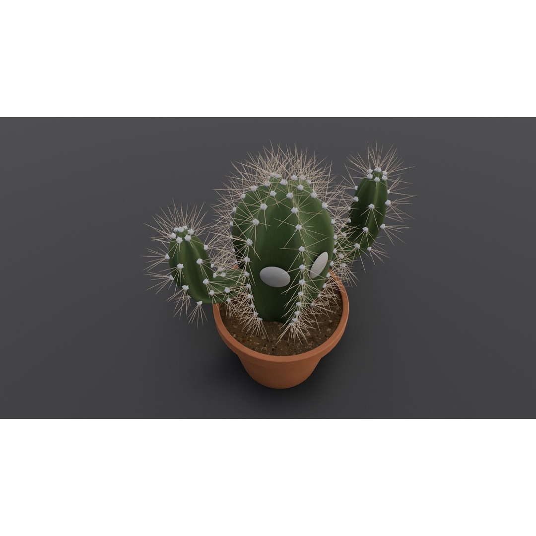 Cactus 3D Model – Low Poly PBR Asset for Games and Animation - View 7