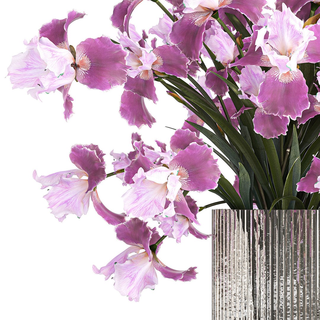 Purple Iris Bouquet 3D Model – Modern Glass Vase, PBR Textures - View 12