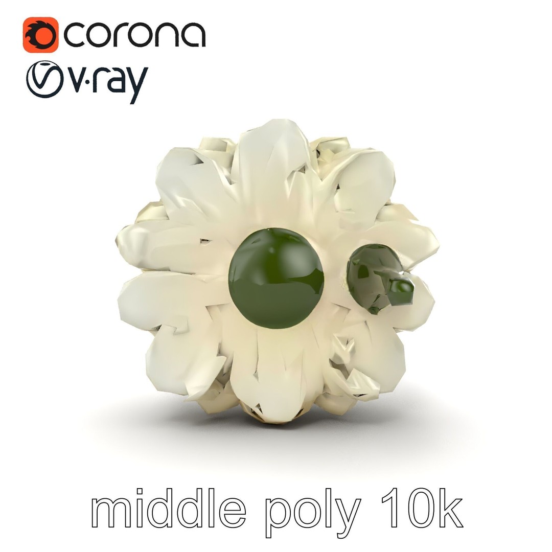 White Ranunculus Flower 3D Model – Low Poly Botanical Pack, FBX