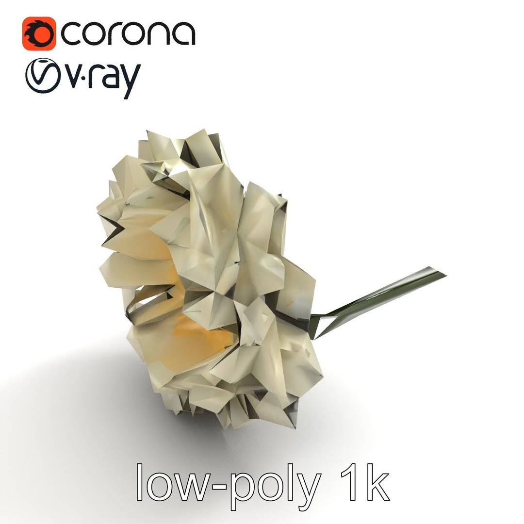 White Ranunculus Flower 3D Model – Low Poly Botanical Pack, FBX - View 10