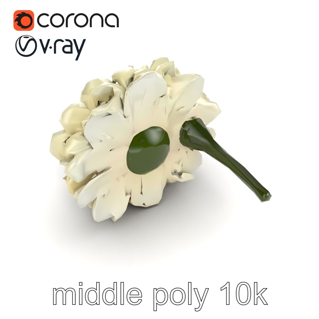 White Ranunculus Flower 3D Model – Low Poly Botanical Pack, FBX - View 13