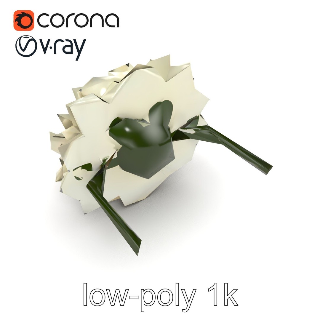 White Ranunculus Flower 3D Model – Low Poly Botanical Pack, FBX - View 14