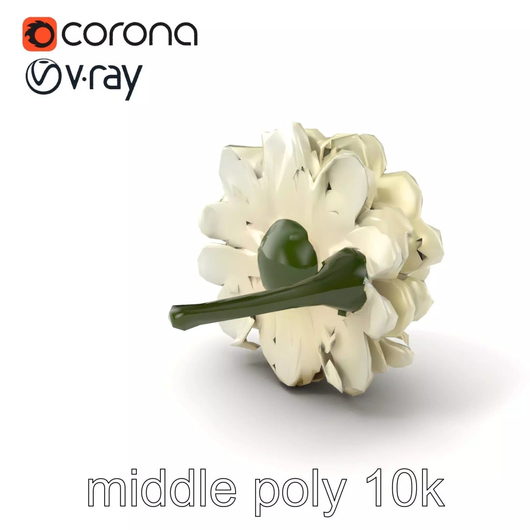 White Ranunculus Flower 3D Model – Low Poly Botanical Pack, FBX - View 2