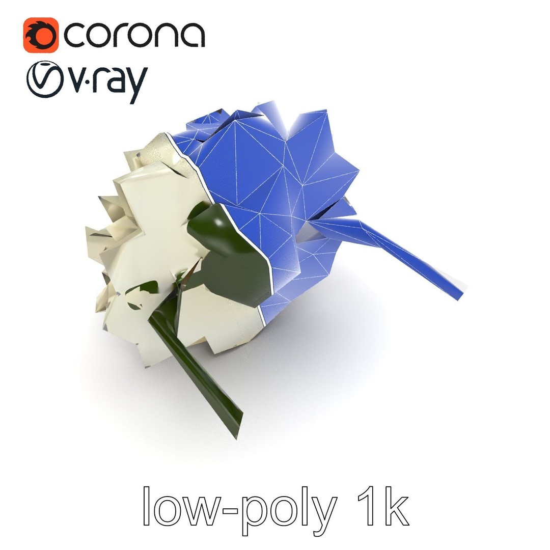 White Ranunculus Flower 3D Model – Low Poly Botanical Pack, FBX - View 20