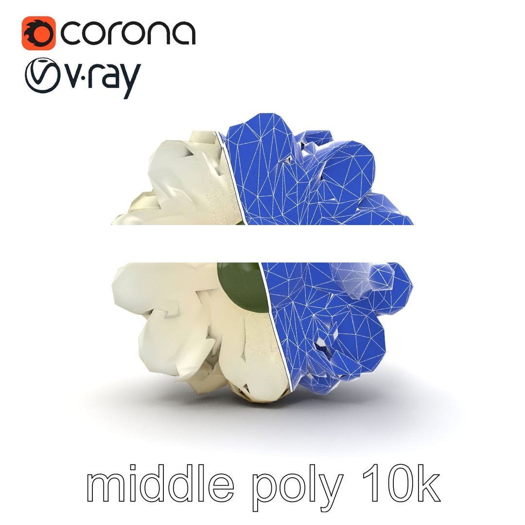 White Ranunculus Flower 3D Model – Low Poly Botanical Pack, FBX - View 22