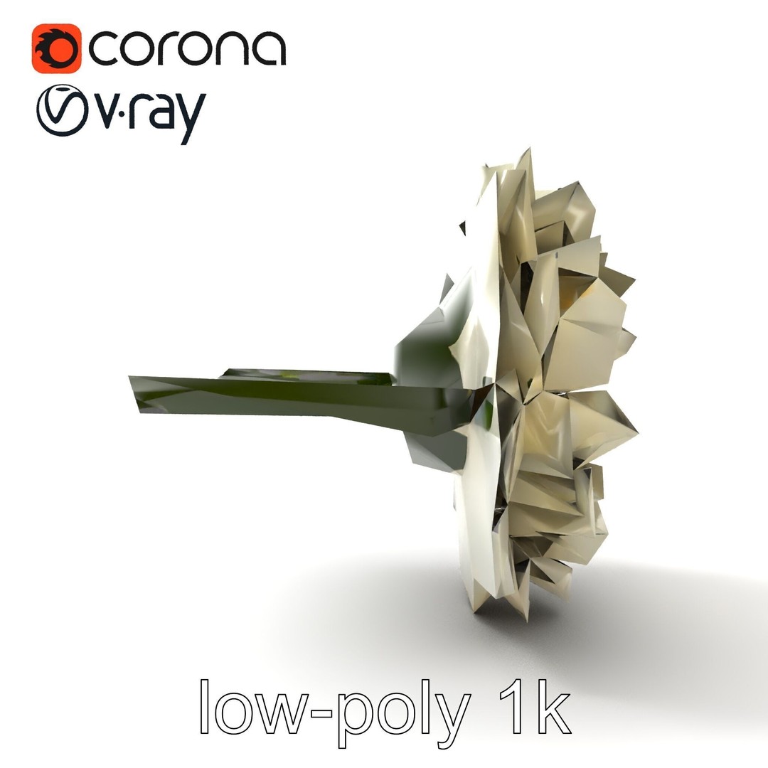 White Ranunculus Flower 3D Model – Low Poly Botanical Pack, FBX - View 23