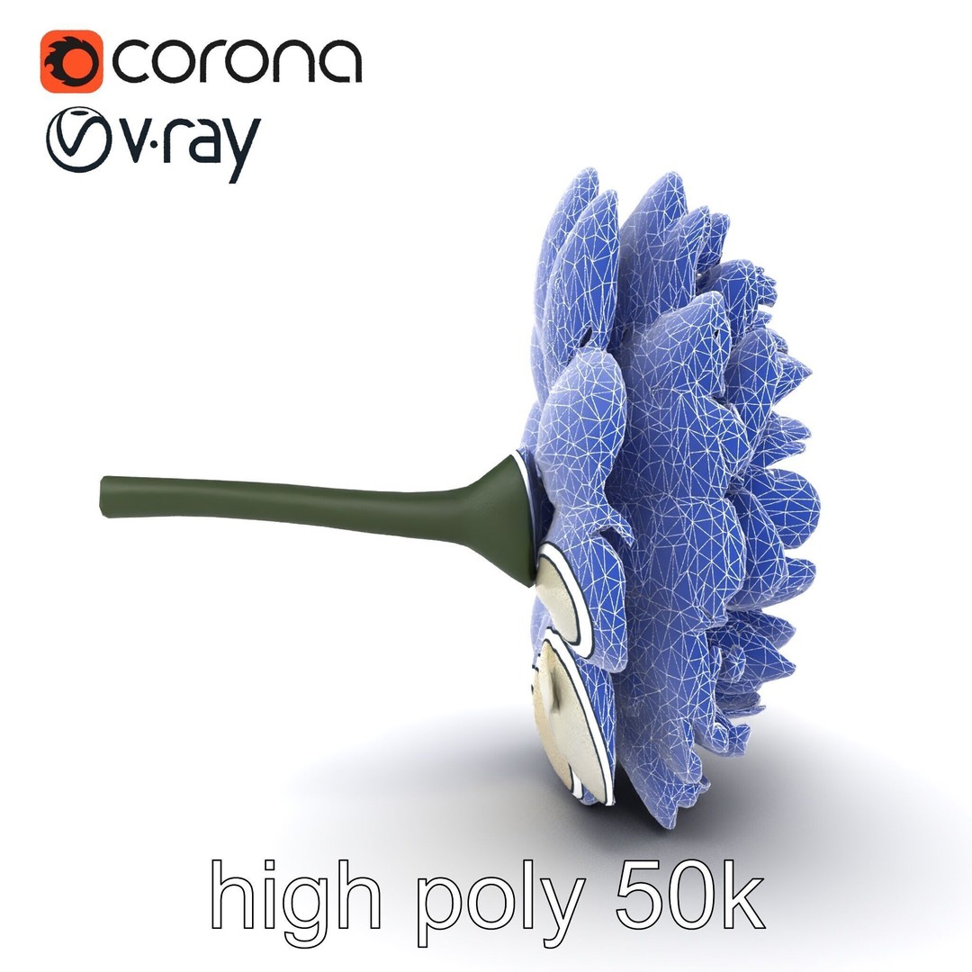 White Ranunculus Flower 3D Model – Low Poly Botanical Pack, FBX - View 24