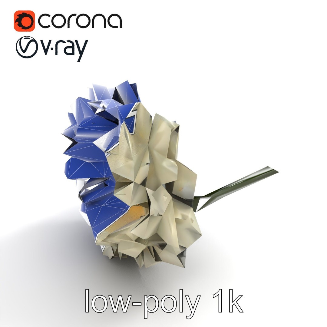 White Ranunculus Flower 3D Model – Low Poly Botanical Pack, FBX - View 26