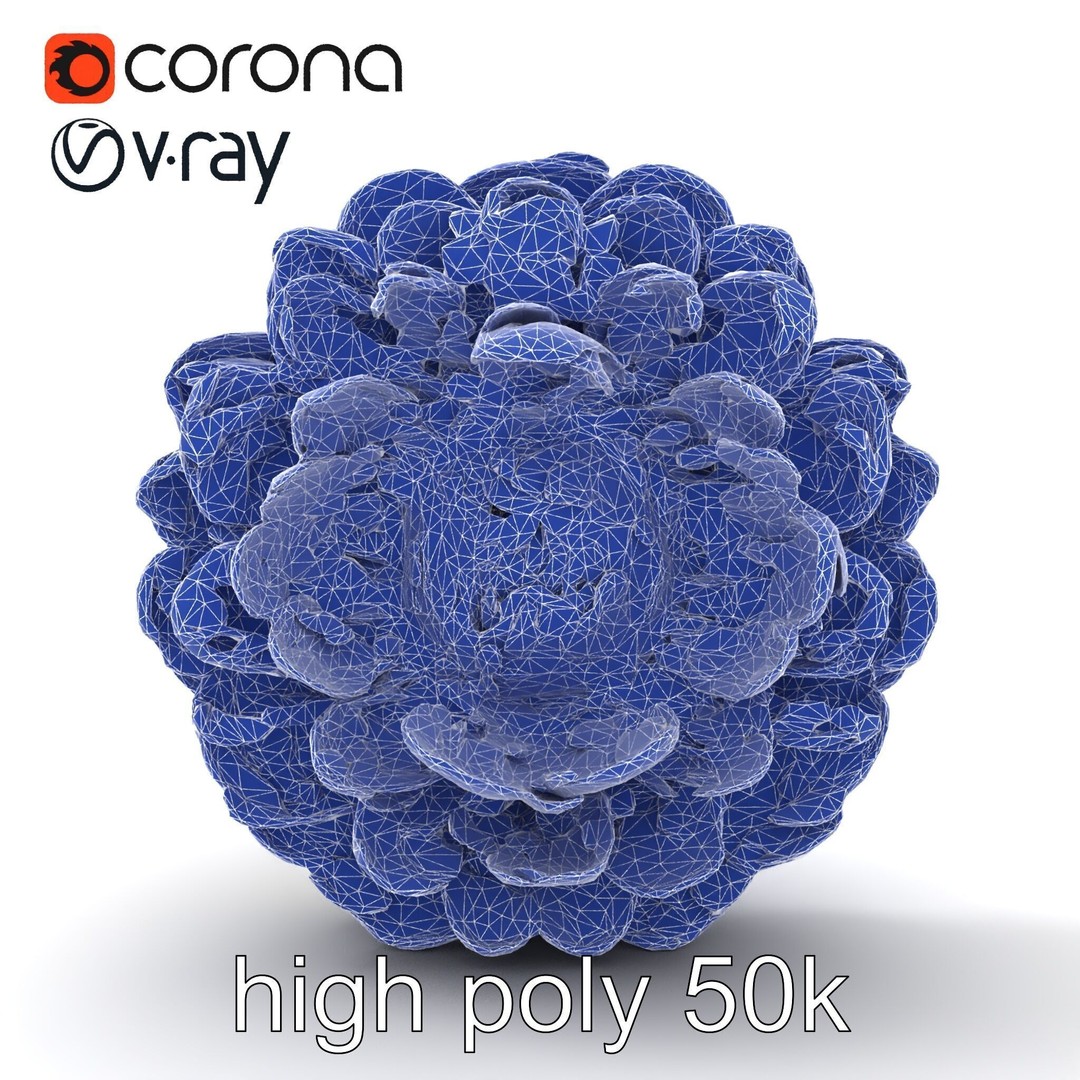 White Ranunculus Flower 3D Model – Low Poly Botanical Pack, FBX - View 27