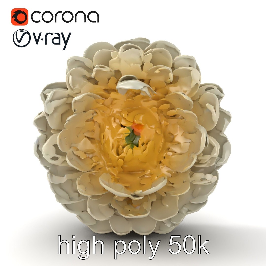 White Ranunculus Flower 3D Model – Low Poly Botanical Pack, FBX - View 28