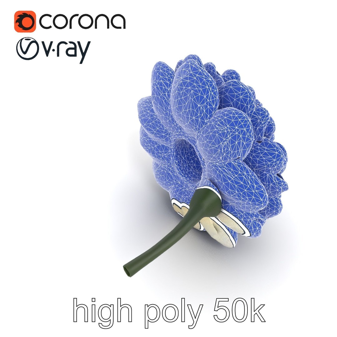White Ranunculus Flower 3D Model – Low Poly Botanical Pack, FBX - View 29