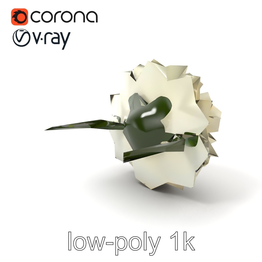 White Ranunculus Flower 3D Model – Low Poly Botanical Pack, FBX - View 6