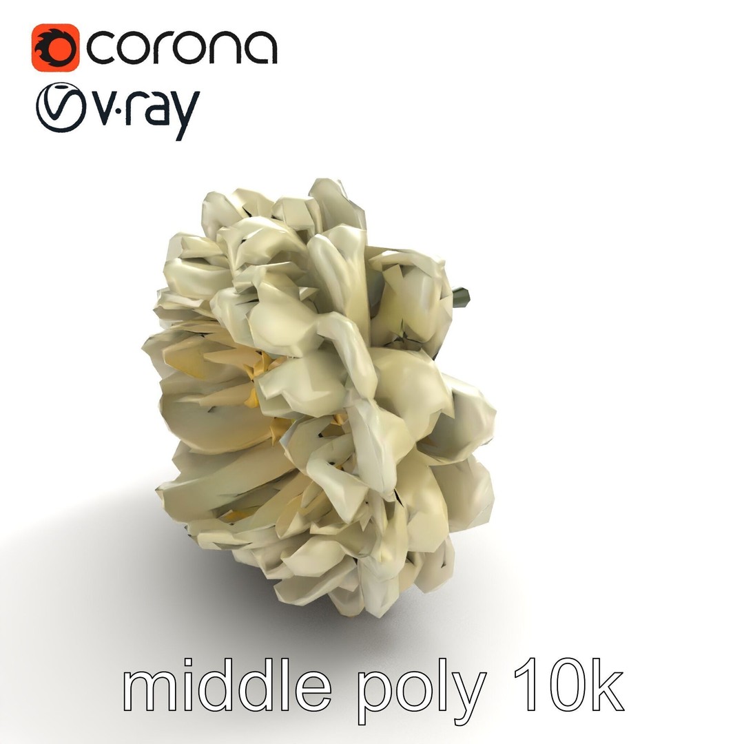 White Ranunculus Flower 3D Model – Low Poly Botanical Pack, FBX - View 9