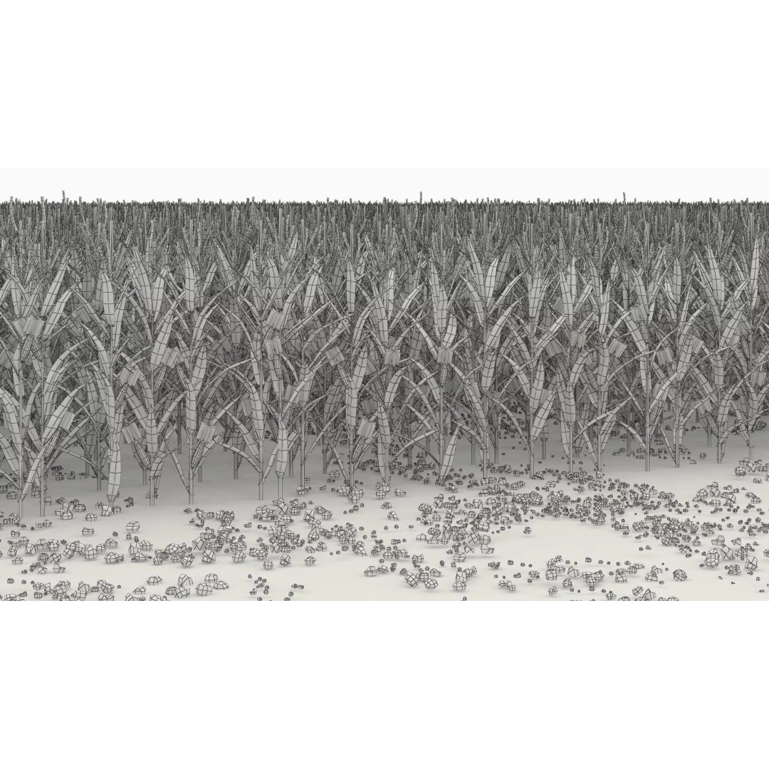 Agricultural Corn Field 3D Model – Realistic Landscape Asset, FBX - View 11