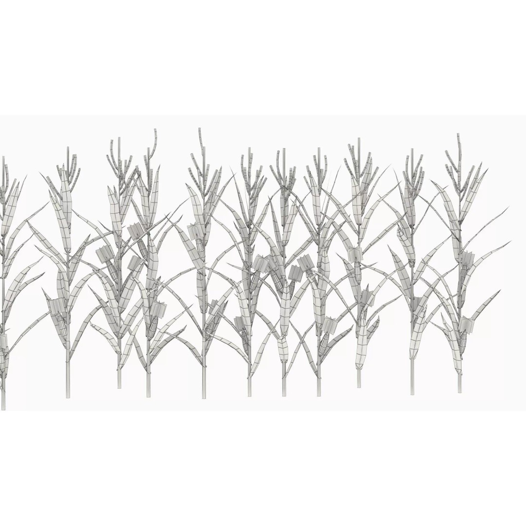 Agricultural Corn Field 3D Model – Realistic Landscape Asset, FBX - View 12
