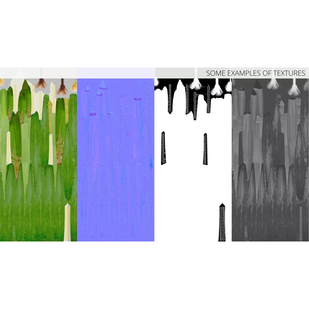 Agricultural Corn Field 3D Model – Realistic Landscape Asset, FBX - View 14