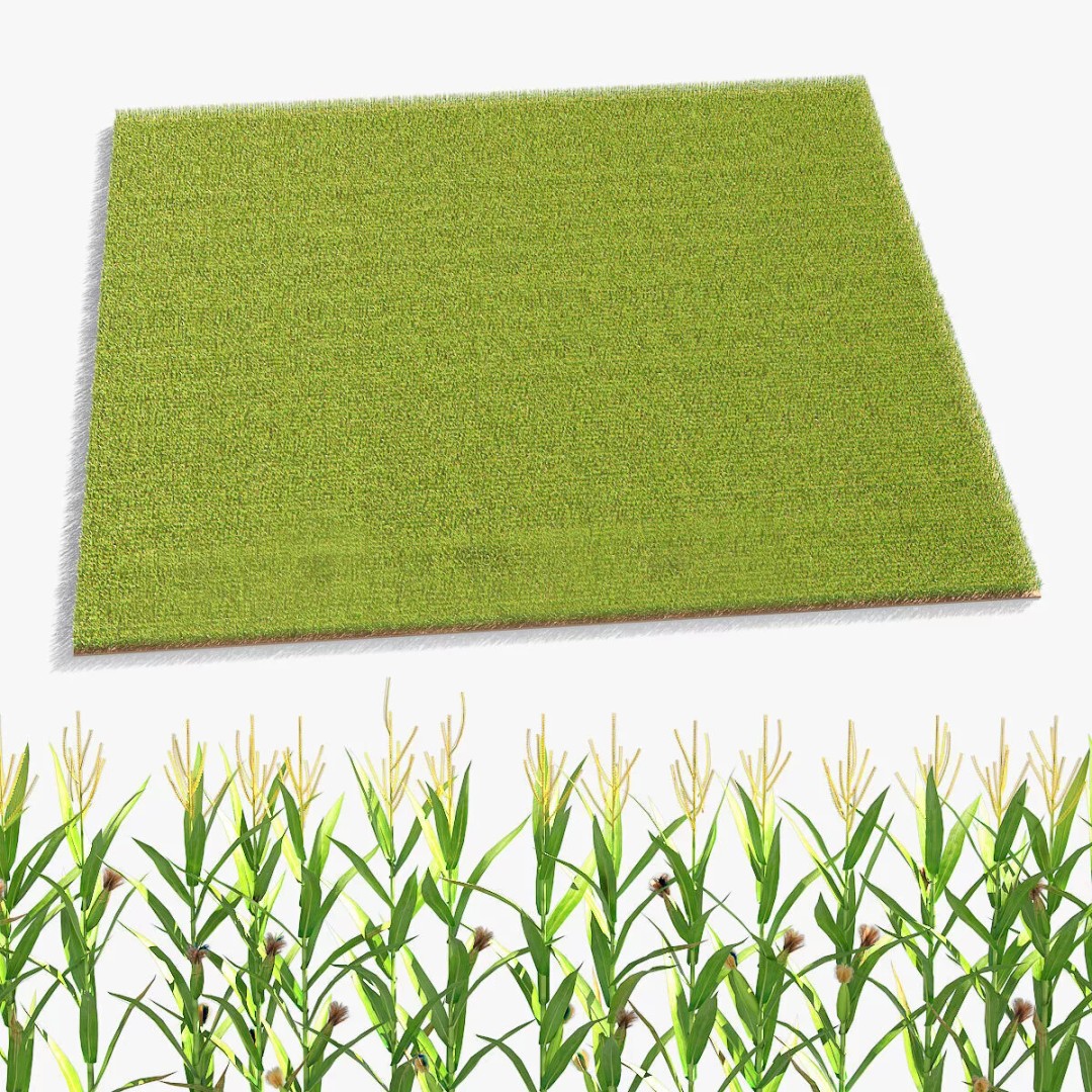 Agricultural Corn Field 3D Model – Realistic Landscape Asset, FBX - View 3