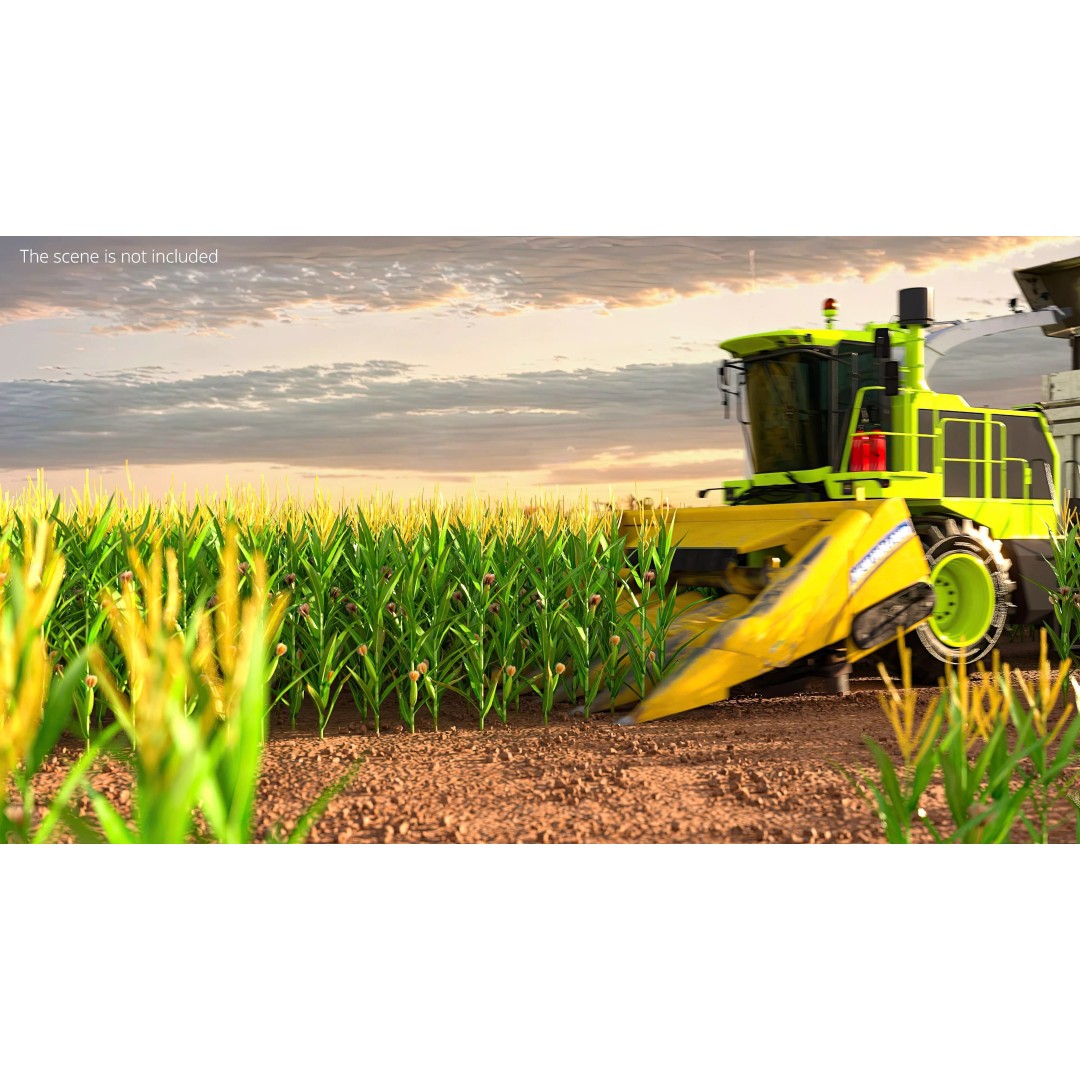 Agricultural Corn Field 3D Model – Realistic Landscape Asset, FBX - View 5