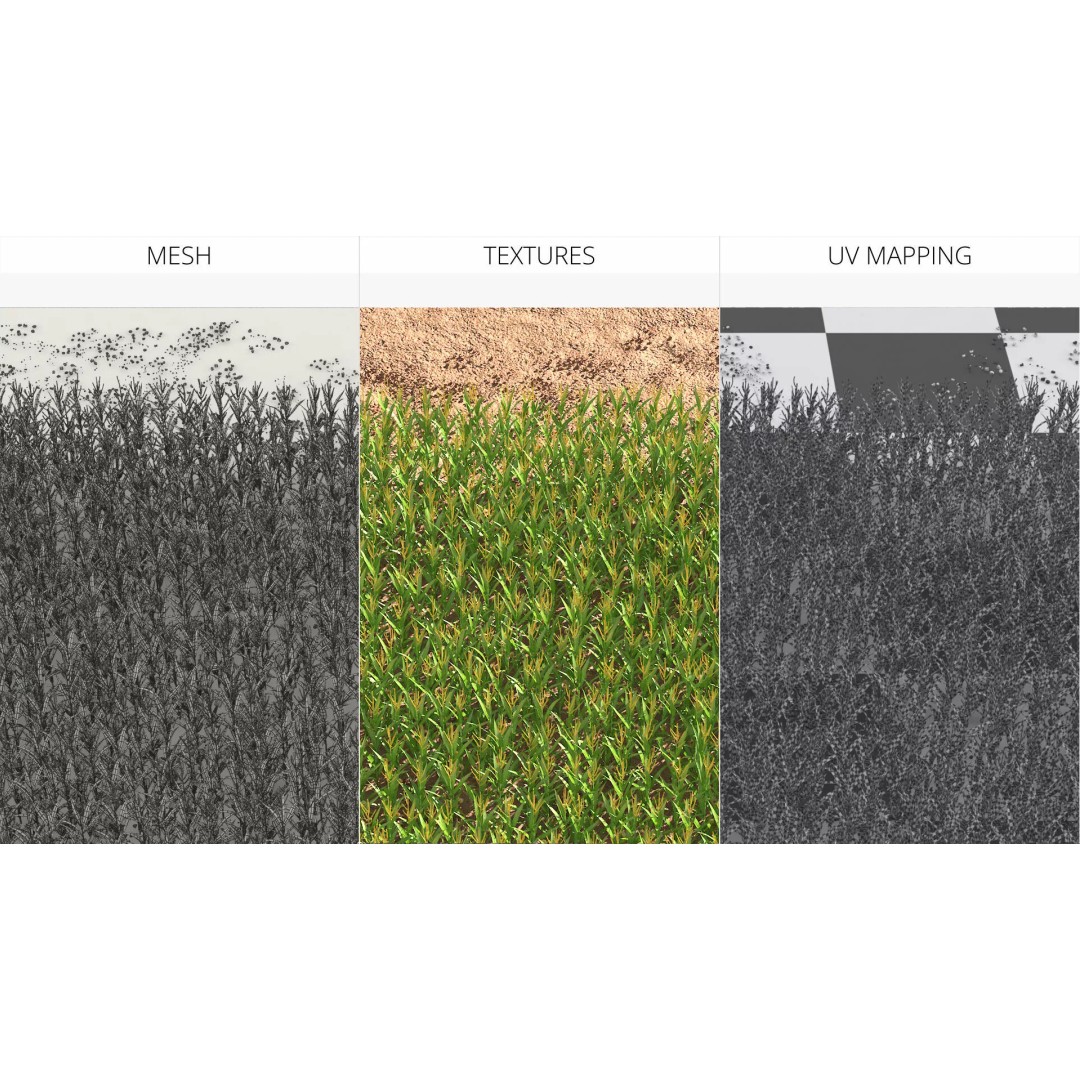 Agricultural Corn Field 3D Model – Realistic Landscape Asset, FBX - View 9