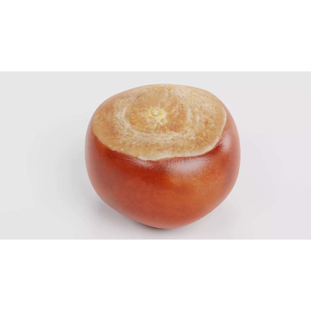 Horse Chestnut Seed 3D Model – Realistic PBR Asset for Nature Scenes - View 2