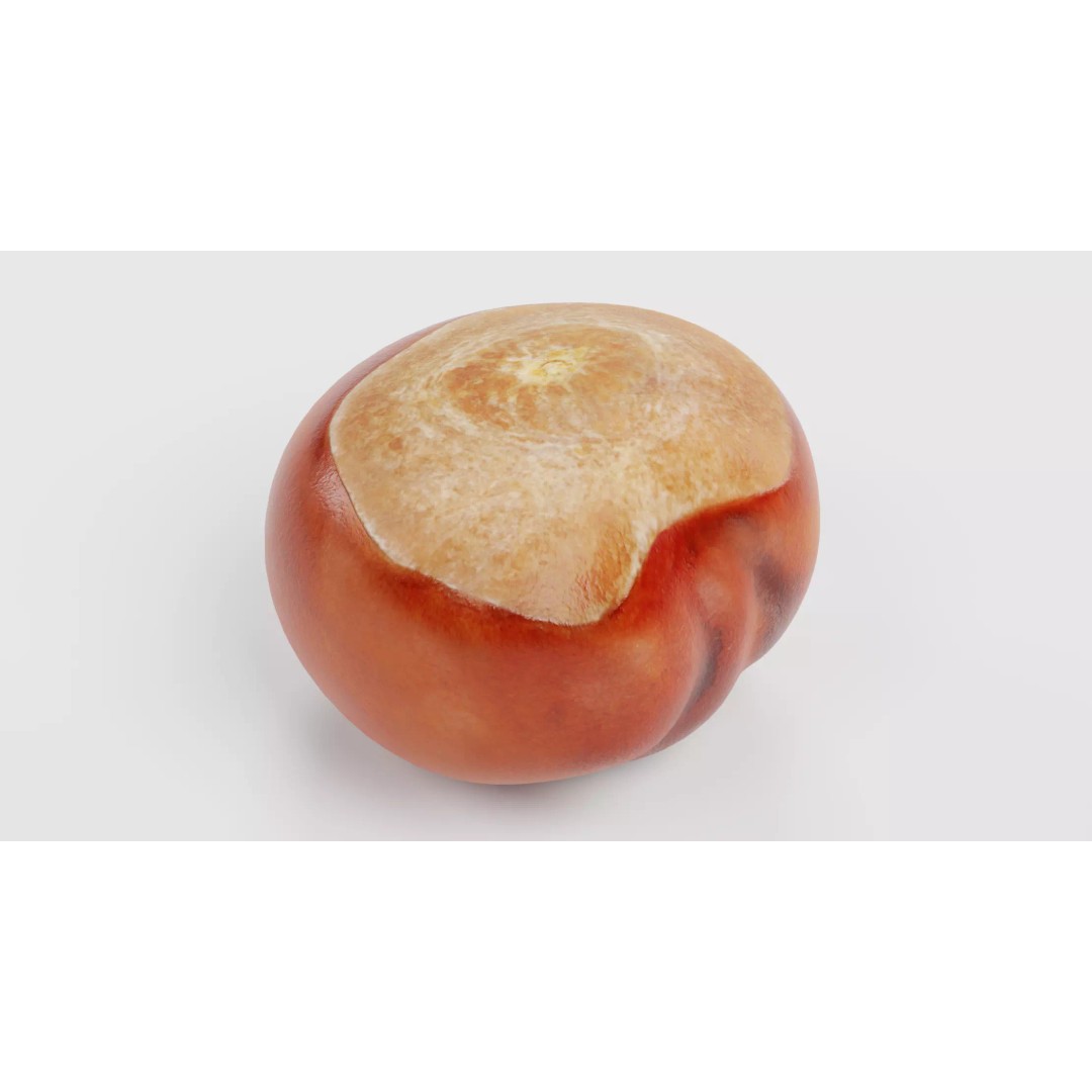 Horse Chestnut Seed 3D Model – Realistic PBR Asset for Nature Scenes - View 3