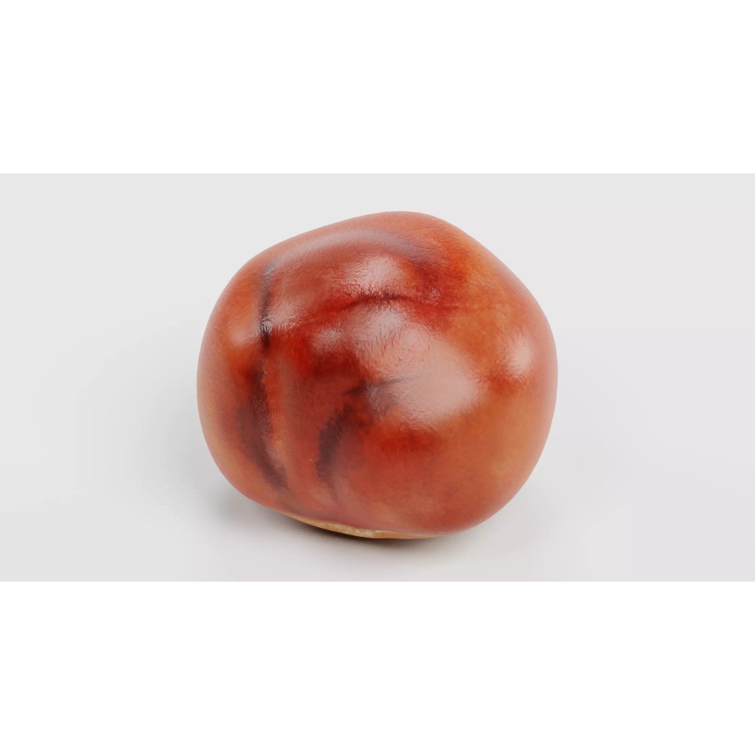 Horse Chestnut Seed 3D Model – Realistic PBR Asset for Nature Scenes - View 6