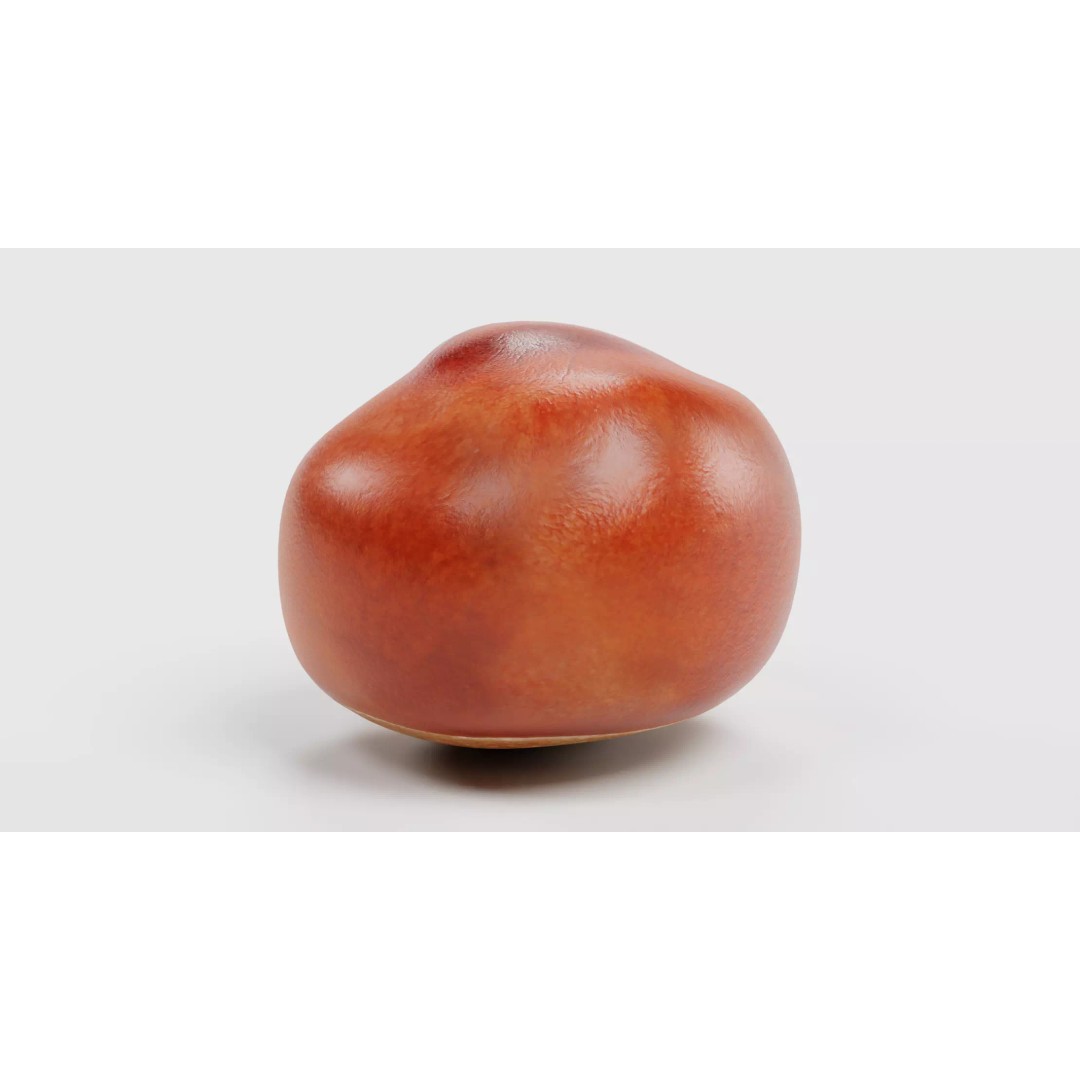 Horse Chestnut Seed 3D Model – Realistic PBR Asset for Nature Scenes - View 7