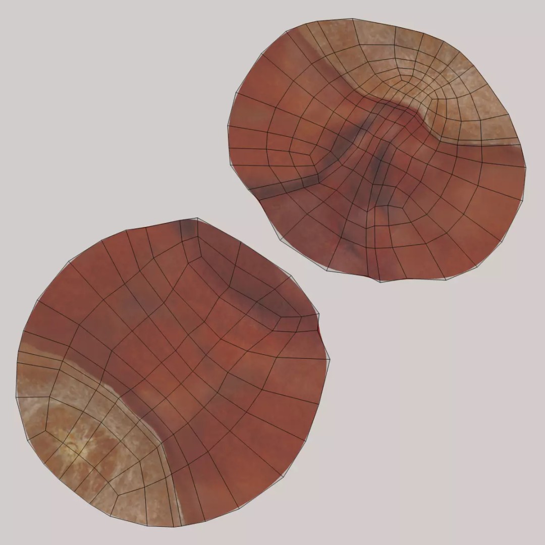 Horse Chestnut Seed 3D Model – Realistic PBR Asset for Nature Scenes - View 8