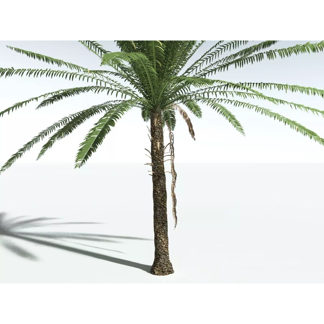 Date Palm 3D Model – High Poly PBR Asset, FBX Format - View 27