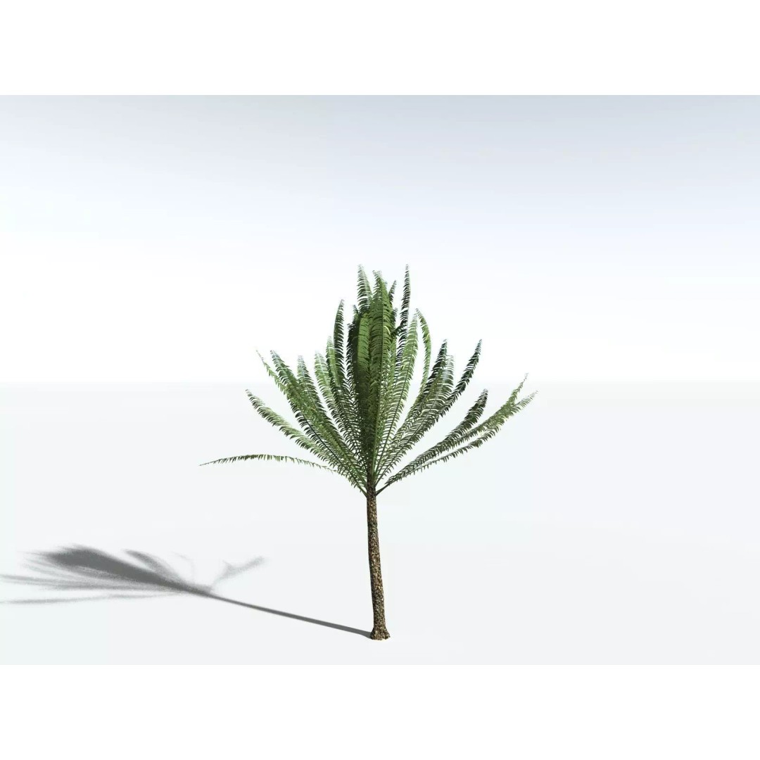 Date Palm 3D Model – High Poly PBR Asset, FBX Format - View 29
