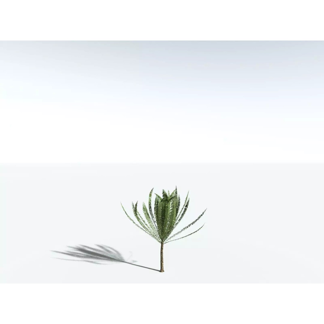 Date Palm 3D Model – High Poly PBR Asset, FBX Format - View 31