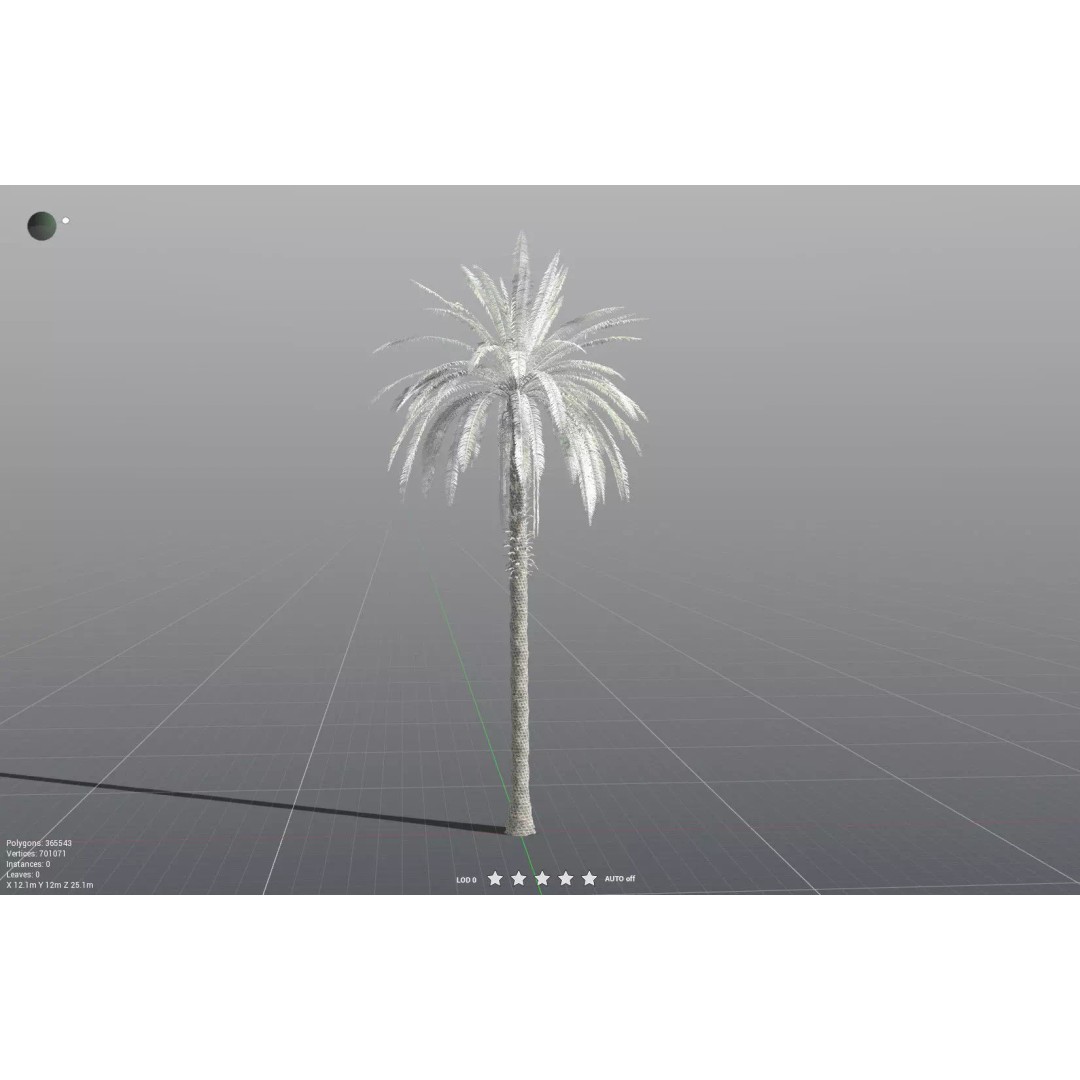 Date Palm 3D Model – High Poly PBR Asset, FBX Format - View 34