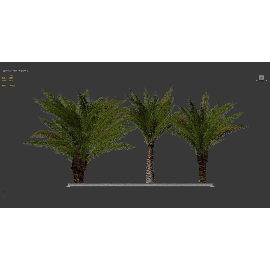 Palm Tree 3D Model – Low Poly Realistic Vegetation for Games, FBX - View 11