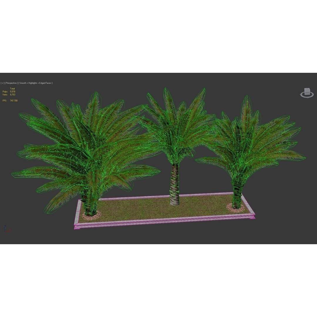 Palm Tree 3D Model – Low Poly Realistic Vegetation for Games, FBX - View 12