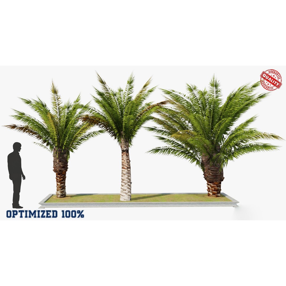 Palm Tree 3D Model – Low Poly Realistic Vegetation for Games, FBX - View 3