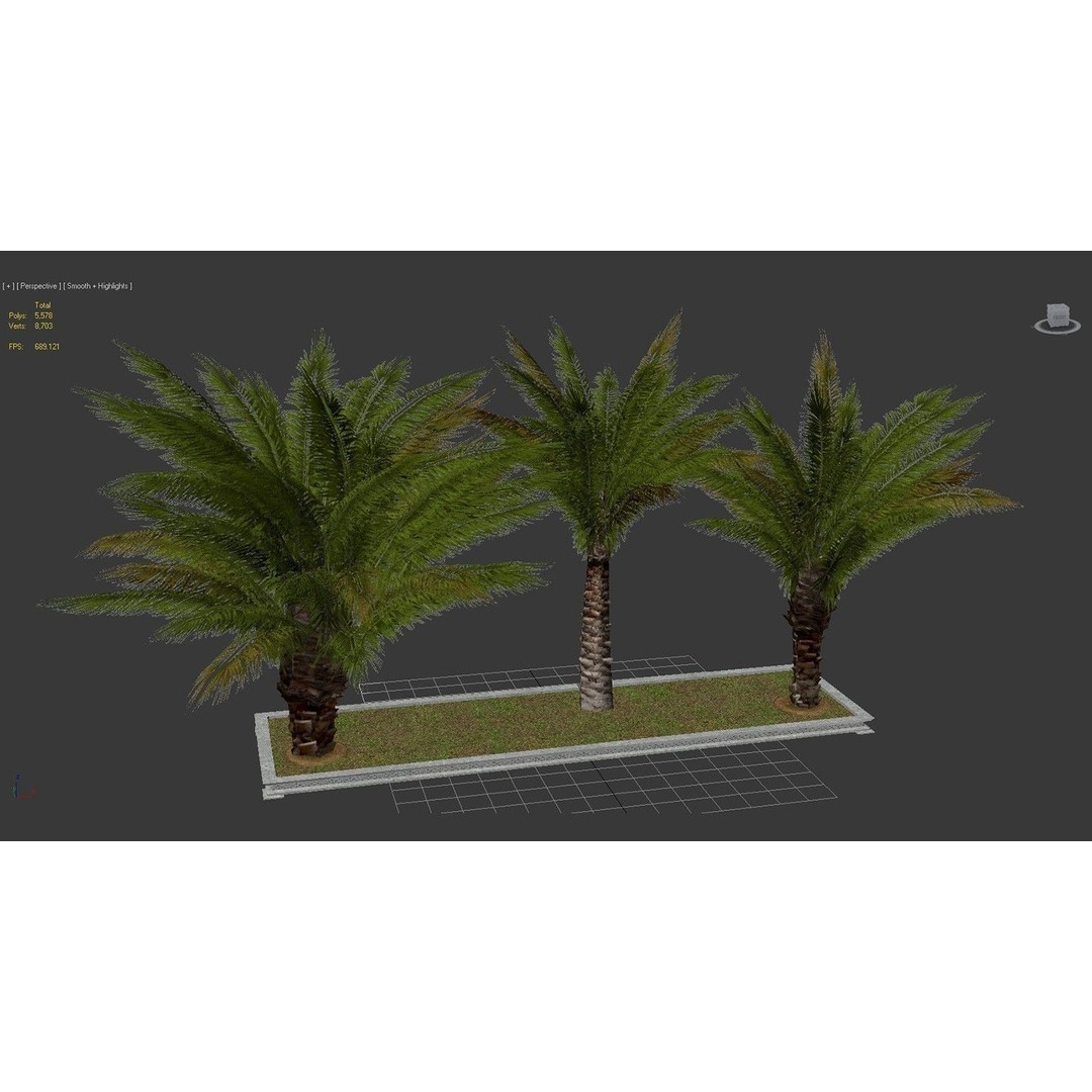 Palm Tree 3D Model – Low Poly Realistic Vegetation for Games, FBX - View 9
