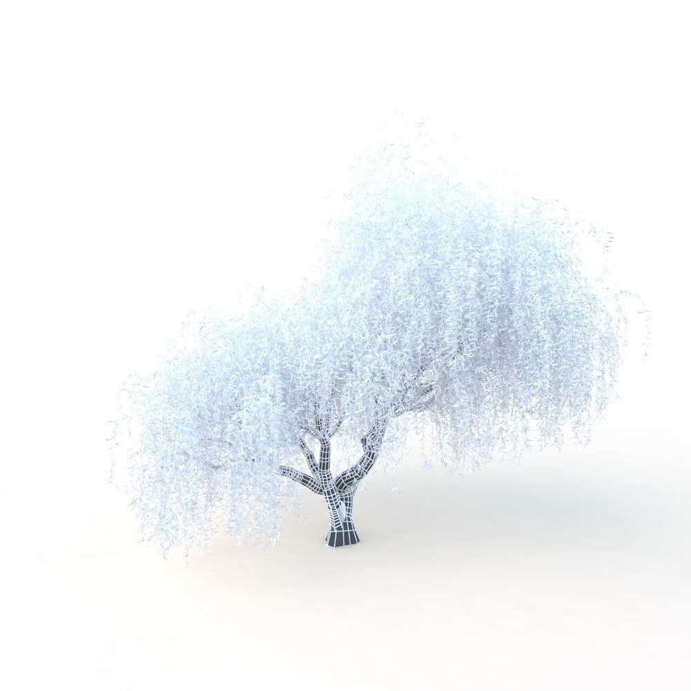 Willow Fall Tree 3D Model – Realistic PBR Asset, FBX, OBJ
