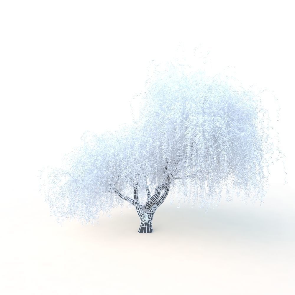 Willow Fall Tree 3D Model – Realistic PBR Asset, FBX, OBJ - View 24
